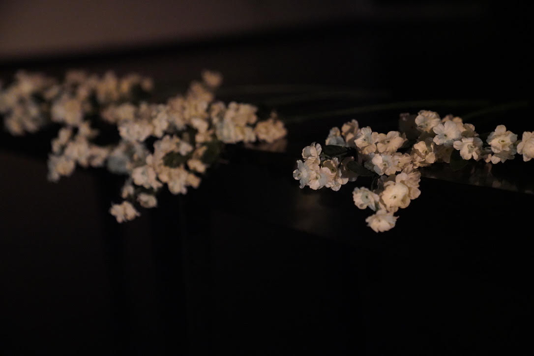 Small white flowers are strewn across a dark floor